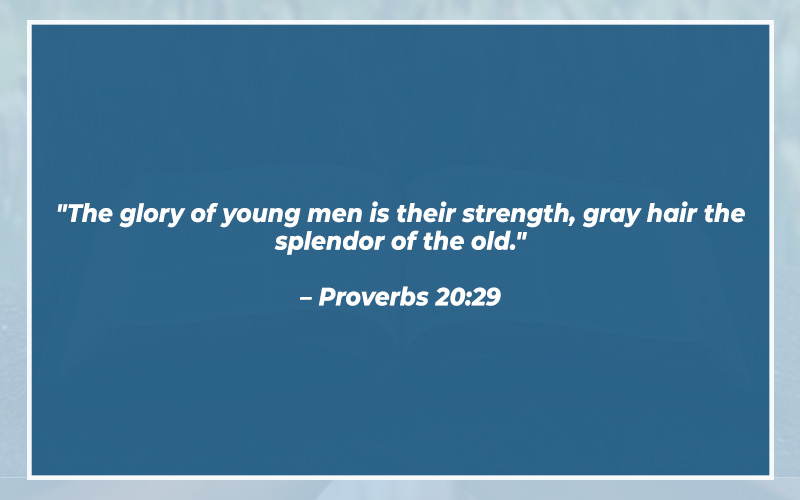 Bible Verses About Grandparents