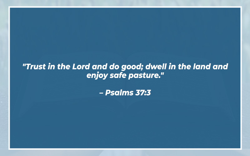 Psalms 37:3