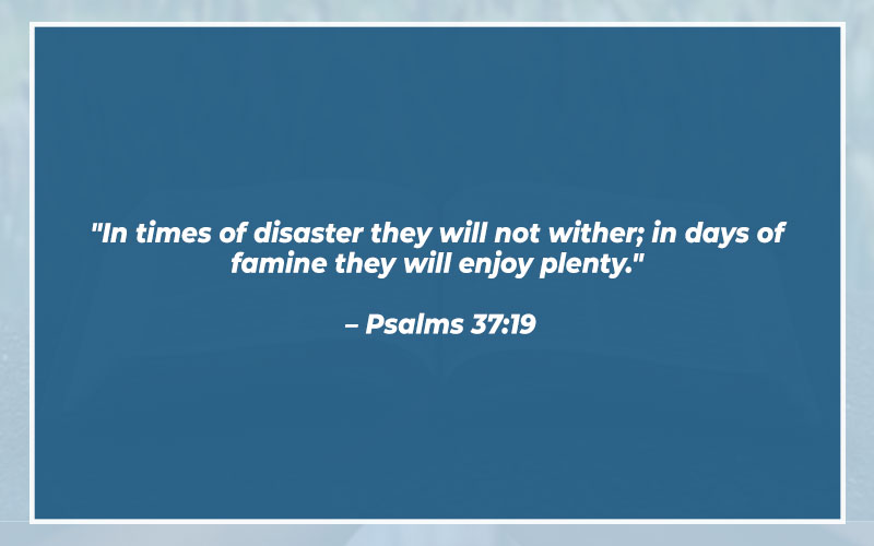 Bible Verses About Shame