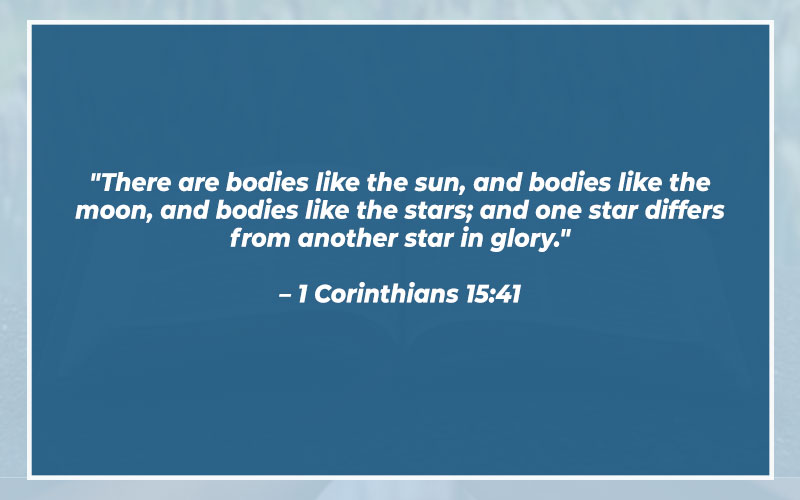 Bible Verses About The Sun