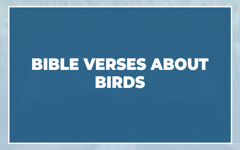 Bible Verses About Birds