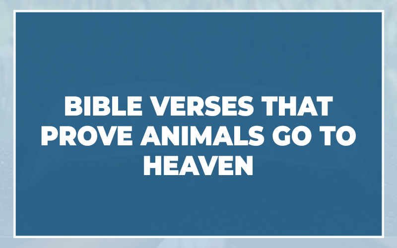 Bible Verses That Prove Animals Go To Heaven