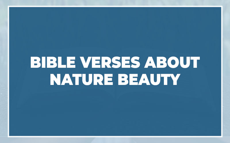 Bible Verses About Nature Beauty