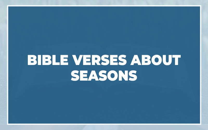 Bible Verses About Seasons