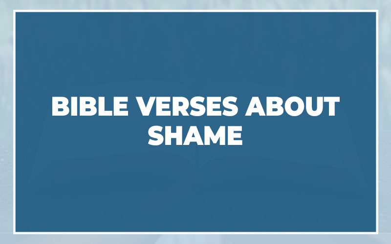 Bible Verses About Shame