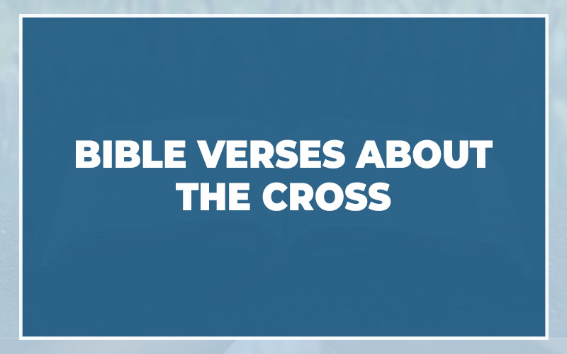 Bible Verses About The Cross