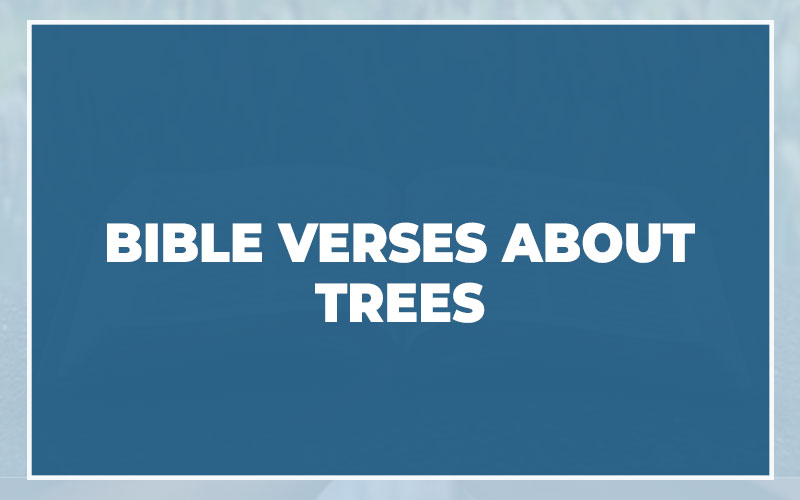 Bible Verses About Trees