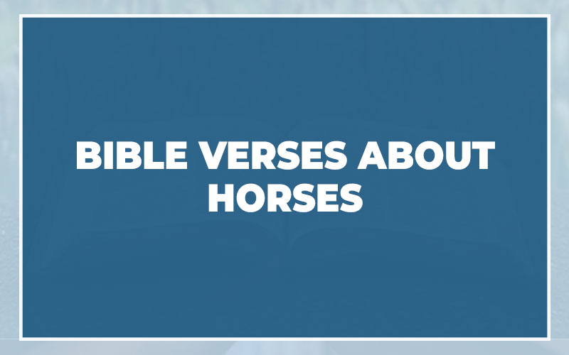 Bible Verses About Horses