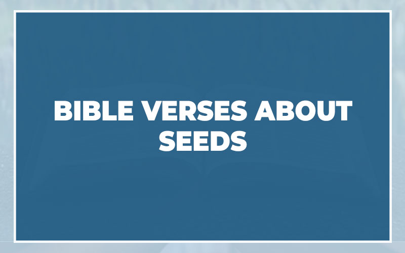 Bible Verses About Seeds